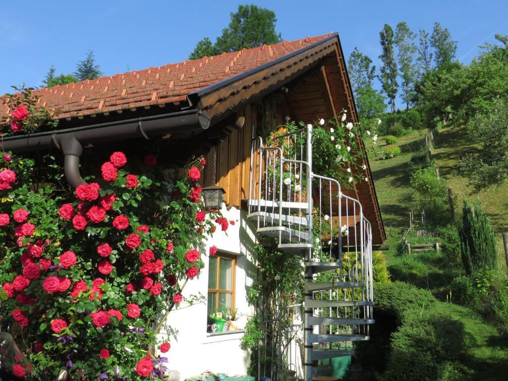 Haus Loidl Hotel Sankt Gallen Exterior photo